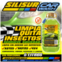 SILISUR QUITA INSECTOS 5L