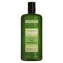 CAPILATIS SHAMPOO 420ML ALOE PURO